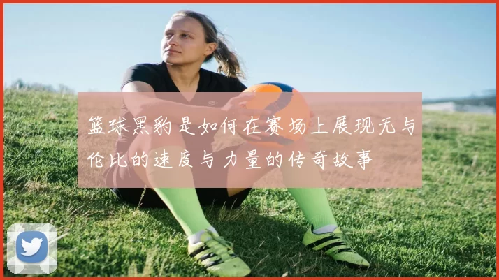 篮球黑豹是如何在赛场上展现无与伦比的速度与力量的传奇故事