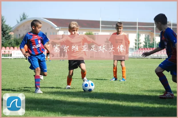 塞尔维亚足球头像