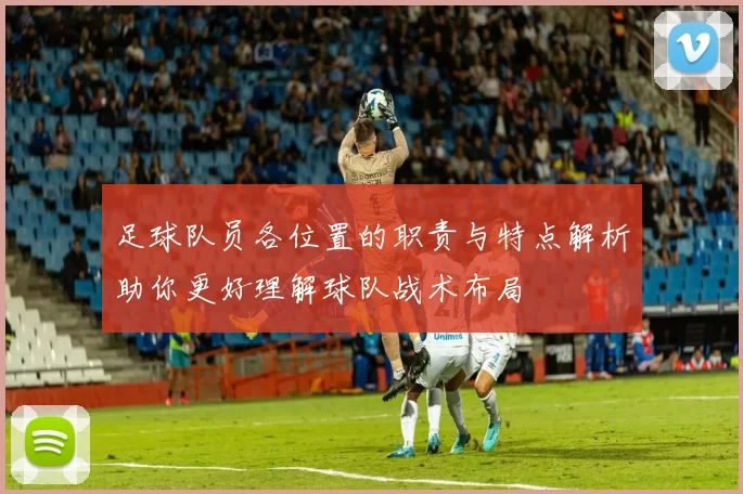 足球队员各位置的职责与特点解析助你更好理解球队战术布局